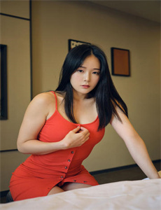 chengyen-西陆军事